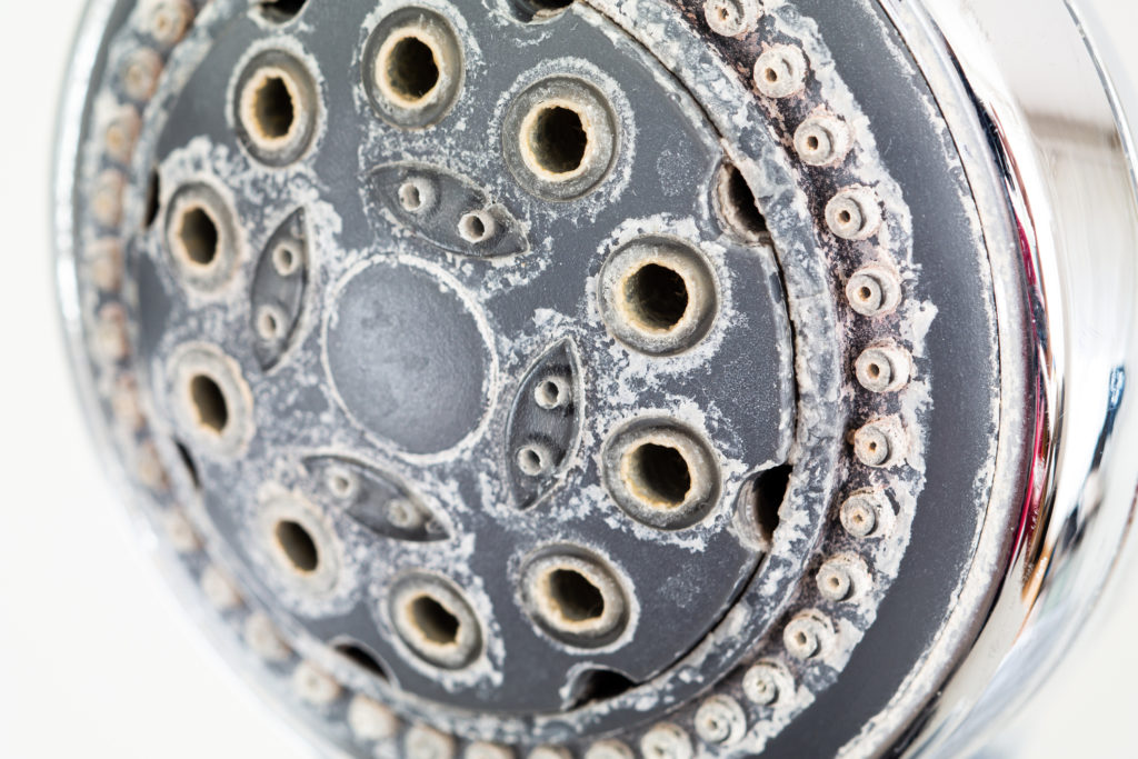 shower head limscale