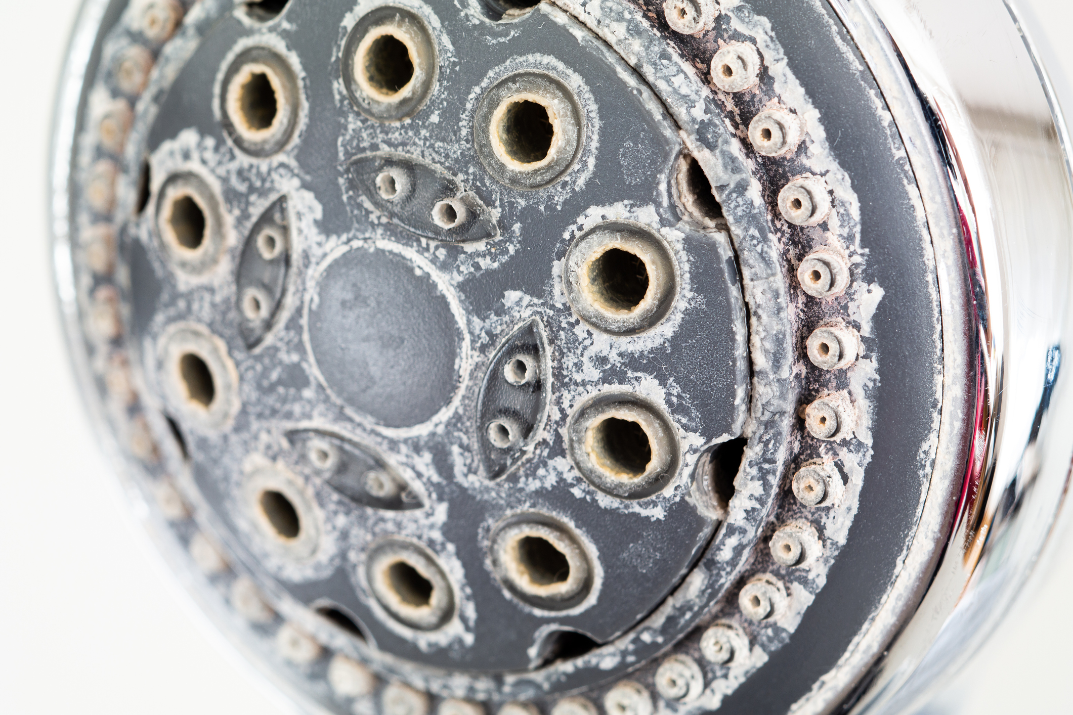 shower head covered in limescale