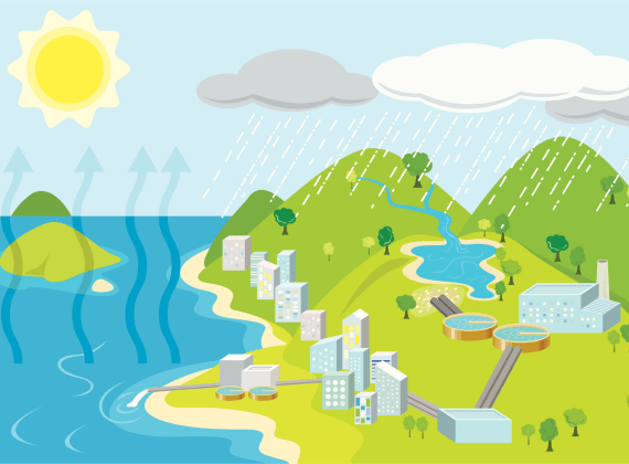 Cycle of water from rainfall to ocean.