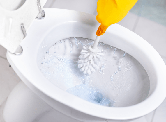 How to remove limescale in toilet